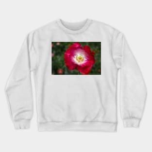 Single poppy Crewneck Sweatshirt